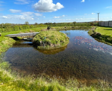 Wildlife Ponds