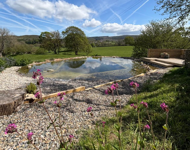 Swimming Ponds