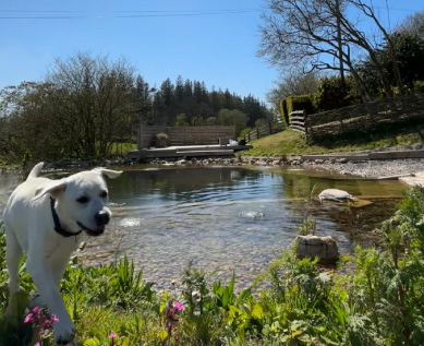 Natural Swimming Ponds Cheshire