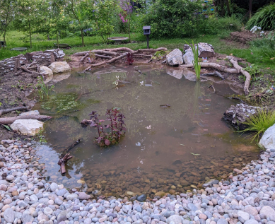 New Wildlife Pond Design & Build