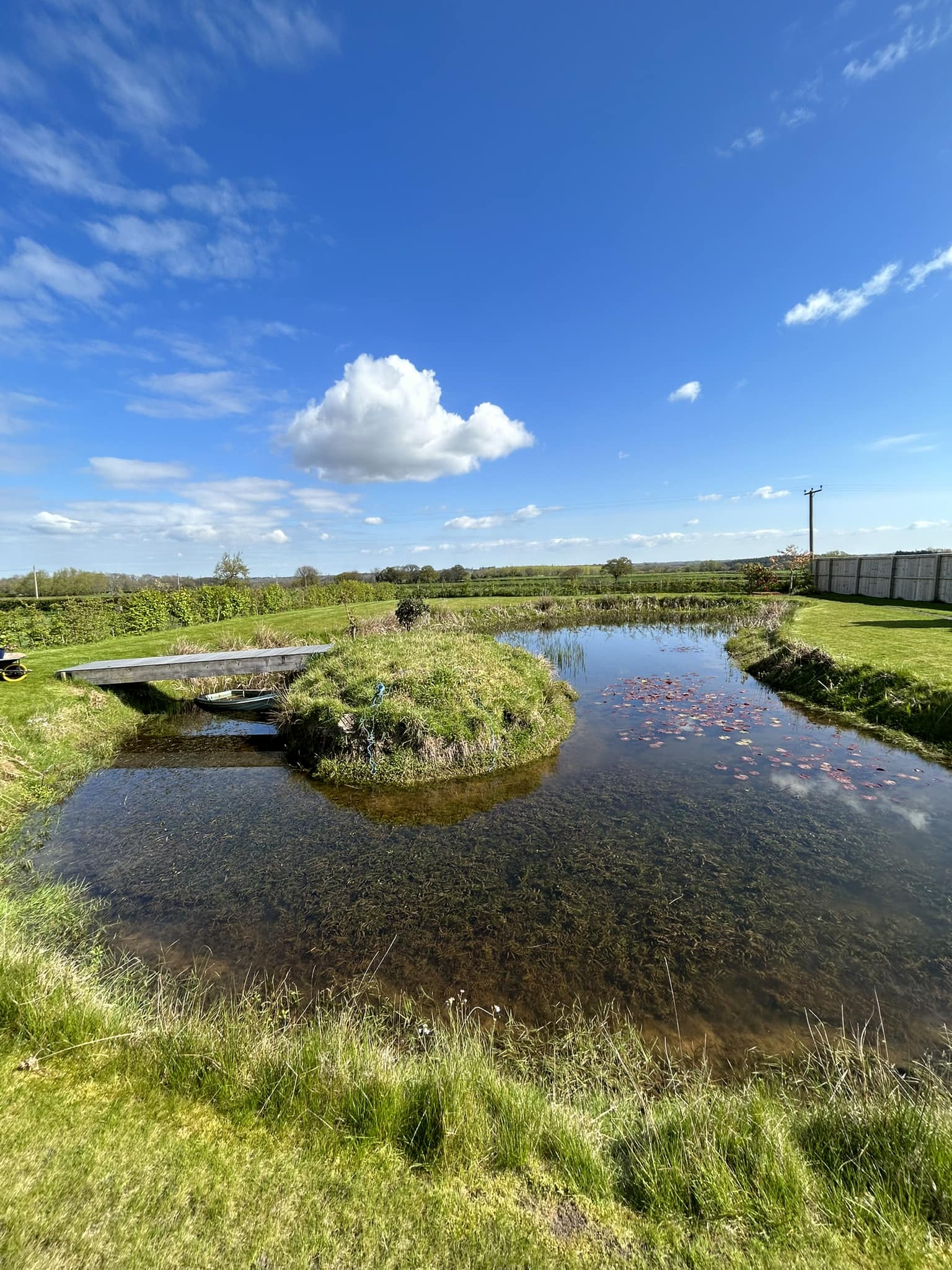 Pond
